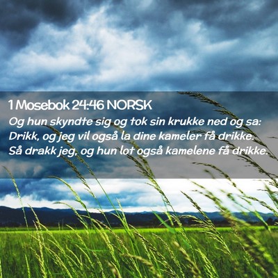 Picture 02 - 1 Mosebok 24:46 NORSK - Og hun skyndte sig og tok sin krukke ned og sa: - Bible Verse Picture