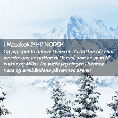 Picture 02 - 1 Mosebok 24:47 NORSK - Og jeg spurte henne: Hvem er du datter til? Hun - Bible Verse Picture