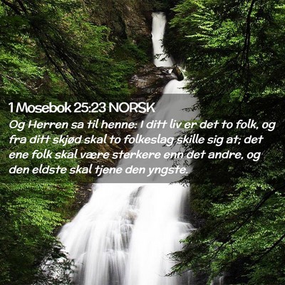 Picture 02 - 1 Mosebok 25:23 NORSK - Og Herren sa til henne: I ditt liv er det to - Bible Verse Picture