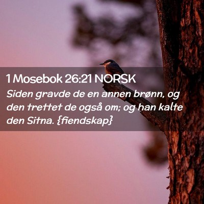 Picture 02 - 1 Mosebok 26:21 NORSK - Siden gravde de en annen brønn, og den trettet - Bible Verse Picture