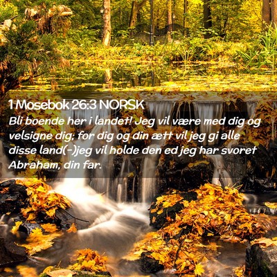 Picture 02 - 1 Mosebok 26:3 NORSK - Bli boende her i landet! Jeg vil være med dig og - Bible Verse Picture