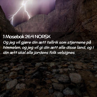 Picture 02 - 1 Mosebok 26:4 NORSK - Og jeg vil gjøre din ætt tallrik som stjernene - Bible Verse Picture