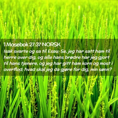 Picture 02 - 1 Mosebok 27:37 NORSK - Isak svarte og sa til Esau: Se, jeg har satt ham - Bible Verse Picture