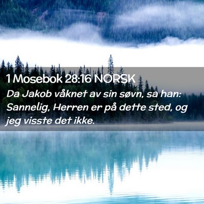 Picture 02 - 1 Mosebok 28:16 NORSK - Da Jakob våknet av sin søvn, sa han: Sannelig, - Bible Verse Picture