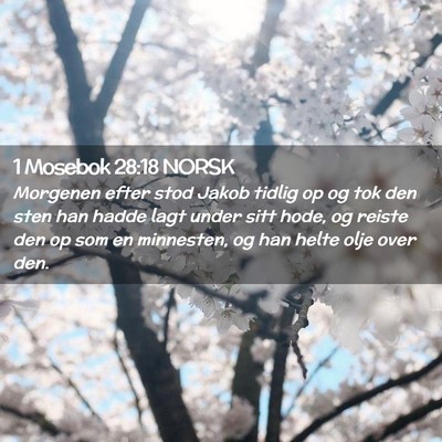Picture 02 - 1 Mosebok 28:18 NORSK - Morgenen efter stod Jakob tidlig op og tok den - Bible Verse Picture