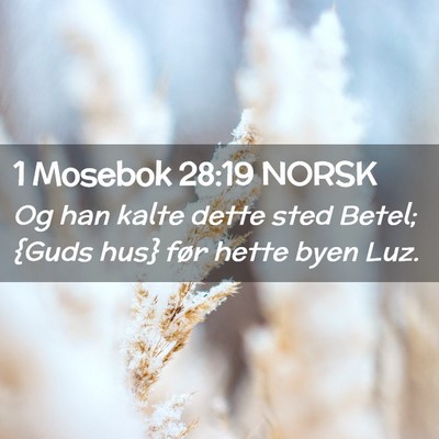 Picture 02 - 1 Mosebok 28:19 NORSK - Og han kalte dette sted Betel; {Guds hus} før - Bible Verse Picture