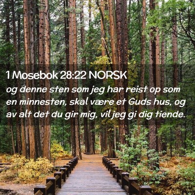 Picture 02 - 1 Mosebok 28:22 NORSK - og denne sten som jeg har reist op som en - Bible Verse Picture