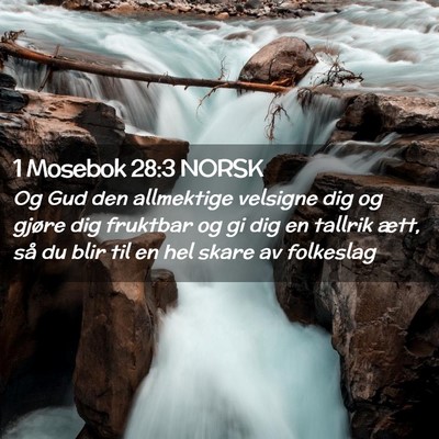 Picture 02 - 1 Mosebok 28:3 NORSK - Og Gud den allmektige velsigne dig og gjøre dig - Bible Verse Picture