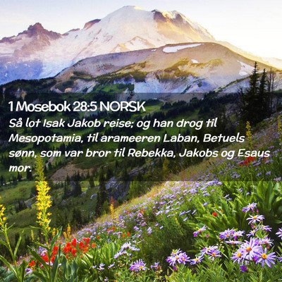 Picture 02 - 1 Mosebok 28:5 NORSK - Så lot Isak Jakob reise; og han drog til - Bible Verse Picture
