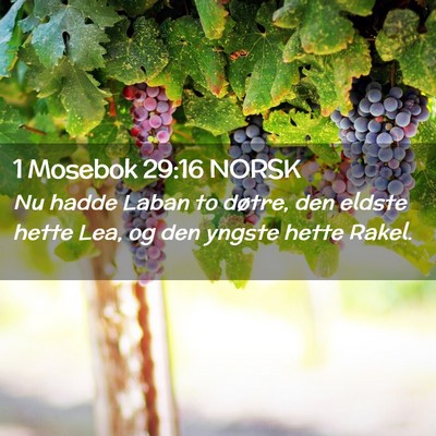 Picture 02 - 1 Mosebok 29:16 NORSK - Nu hadde Laban to døtre, den eldste hette Lea, - Bible Verse Picture
