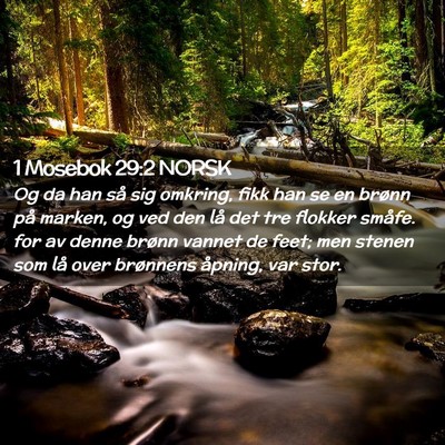 Picture 02 - 1 Mosebok 29:2 NORSK - Og da han så sig omkring, fikk han se en brønn - Bible Verse Picture