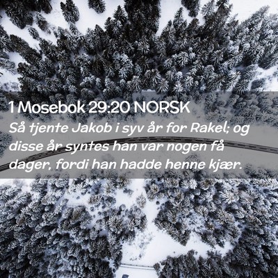 Picture 02 - 1 Mosebok 29:20 NORSK - Så tjente Jakob i syv år for Rakel; og disse - Bible Verse Picture
