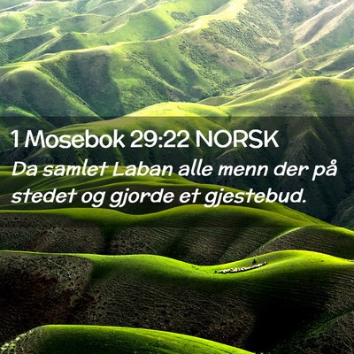 Picture 02 - 1 Mosebok 29:22 NORSK - Da samlet Laban alle menn der på stedet og - Bible Verse Picture