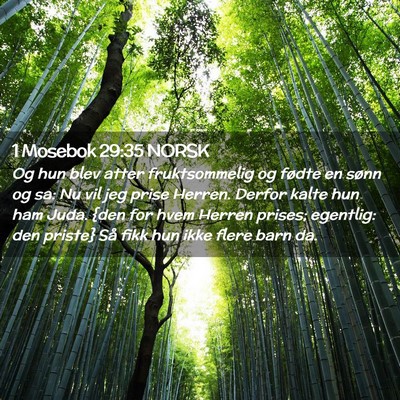 Picture 02 - 1 Mosebok 29:35 NORSK - Og hun blev atter fruktsommelig og fødte en - Bible Verse Picture