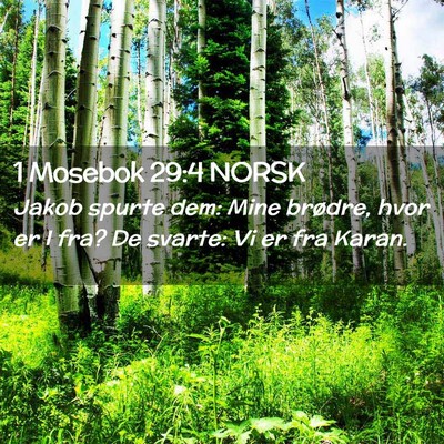 Picture 02 - 1 Mosebok 29:4 NORSK - Jakob spurte dem: Mine brødre, hvor er I fra? De - Bible Verse Picture