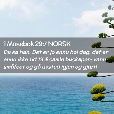 Picture 02 - 1 Mosebok 29:7 NORSK - Da sa han: Det er jo ennu høi dag, det er ennu - Bible Verse Picture