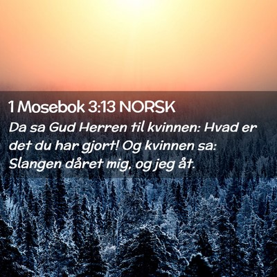 Picture 02 - 1 Mosebok 3:13 NORSK - Da sa Gud Herren til kvinnen: Hvad er det du har - Bible Verse Picture
