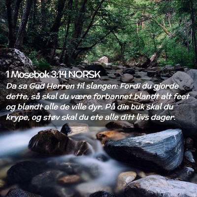 Picture 02 - 1 Mosebok 3:14 NORSK - Da sa Gud Herren til slangen: Fordi du gjorde - Bible Verse Picture
