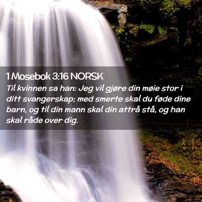 Picture 02 - 1 Mosebok 3:16 NORSK - Til kvinnen sa han: Jeg vil gjøre din møie stor - Bible Verse Picture