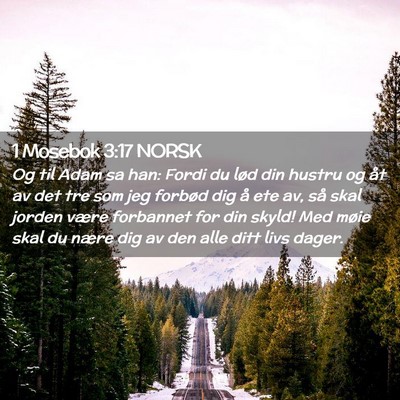 Picture 02 - 1 Mosebok 3:17 NORSK - Og til Adam sa han: Fordi du lød din hustru og - Bible Verse Picture