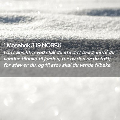 Picture 02 - 1 Mosebok 3:19 NORSK - I ditt ansikts sved skal du ete ditt brød, - Bible Verse Picture