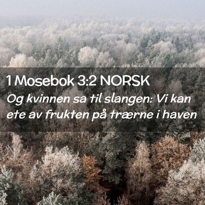Picture 02 - 1 Mosebok 3:2 NORSK - Og kvinnen sa til slangen: Vi kan ete av frukten - Bible Verse Picture