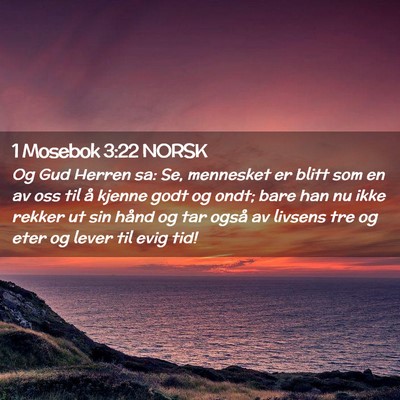Picture 02 - 1 Mosebok 3:22 NORSK - Og Gud Herren sa: Se, mennesket er blitt som en - Bible Verse Picture