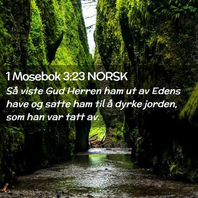 Picture 02 - 1 Mosebok 3:23 NORSK - Så viste Gud Herren ham ut av Edens have og - Bible Verse Picture