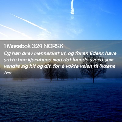 Picture 02 - 1 Mosebok 3:24 NORSK - Og han drev mennesket ut, og foran Edens have - Bible Verse Picture
