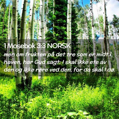 Picture 02 - 1 Mosebok 3:3 NORSK - men om frukten på det tre som er midt i haven, - Bible Verse Picture