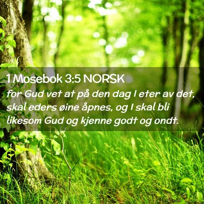 Picture 02 - 1 Mosebok 3:5 NORSK - for Gud vet at på den dag I eter av det, skal - Bible Verse Picture