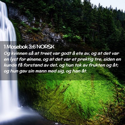 Picture 02 - 1 Mosebok 3:6 NORSK - Og kvinnen så at treet var godt å ete av, og at - Bible Verse Picture