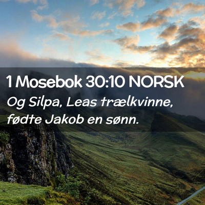 Picture 02 - 1 Mosebok 30:10 NORSK - Og Silpa, Leas trælkvinne, fødte Jakob en - Bible Verse Picture