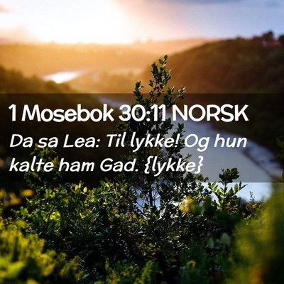 Picture 02 - 1 Mosebok 30:11 NORSK - Da sa Lea: Til lykke! Og hun kalte ham Gad. - Bible Verse Picture