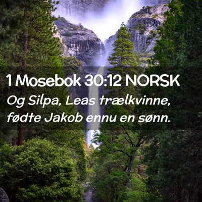 Picture 02 - 1 Mosebok 30:12 NORSK - Og Silpa, Leas trælkvinne, fødte Jakob ennu en - Bible Verse Picture