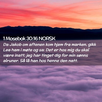 Picture 02 - 1 Mosebok 30:16 NORSK - Da Jakob om aftenen kom hjem fra marken, gikk Lea - Bible Verse Picture