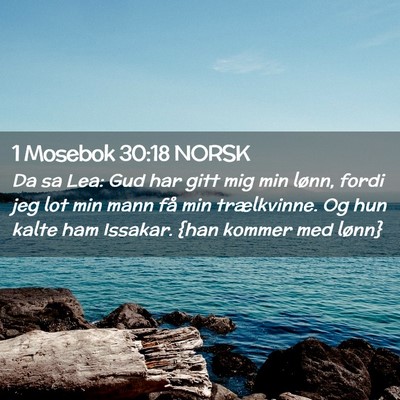 Picture 02 - 1 Mosebok 30:18 NORSK - Da sa Lea: Gud har gitt mig min lønn, fordi jeg - Bible Verse Picture