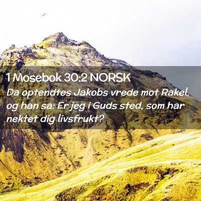 Picture 02 - 1 Mosebok 30:2 NORSK - Da optendtes Jakobs vrede mot Rakel, og han sa: - Bible Verse Picture