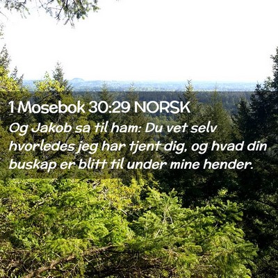 Picture 02 - 1 Mosebok 30:29 NORSK - Og Jakob sa til ham: Du vet selv hvorledes jeg - Bible Verse Picture