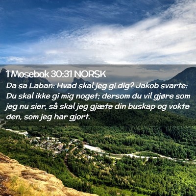 Picture 02 - 1 Mosebok 30:31 NORSK - Da sa Laban: Hvad skal jeg gi dig? Jakob svarte: - Bible Verse Picture