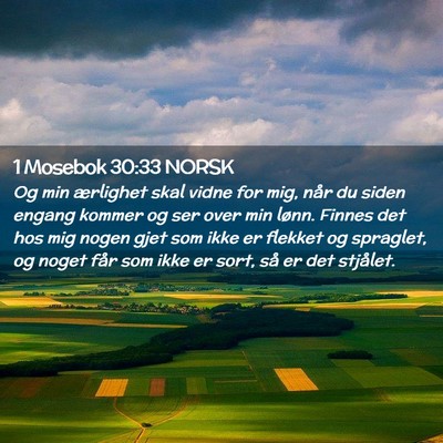 Picture 02 - 1 Mosebok 30:33 NORSK - Og min ærlighet skal vidne for mig, når du - Bible Verse Picture