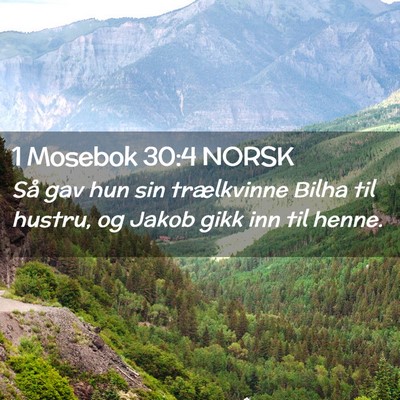 Picture 02 - 1 Mosebok 30:4 NORSK - Så gav hun sin trælkvinne Bilha til hustru, og - Bible Verse Picture