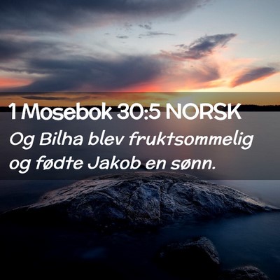 Picture 02 - 1 Mosebok 30:5 NORSK - Og Bilha blev fruktsommelig og fødte Jakob en - Bible Verse Picture