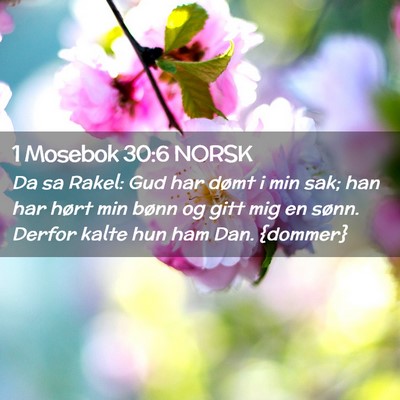 Picture 02 - 1 Mosebok 30:6 NORSK - Da sa Rakel: Gud har dømt i min sak; han har - Bible Verse Picture