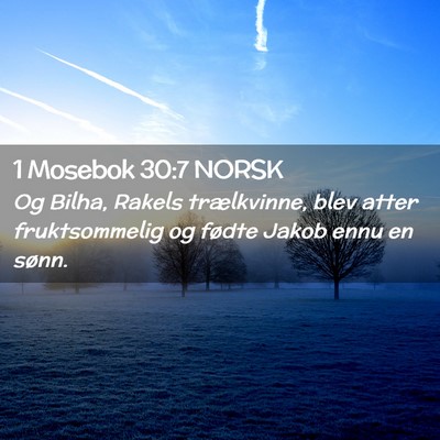 Picture 02 - 1 Mosebok 30:7 NORSK - Og Bilha, Rakels trælkvinne, blev atter - Bible Verse Picture