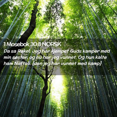 Picture 02 - 1 Mosebok 30:8 NORSK - Da sa Rakel: Jeg har kjempet Guds kamper med min - Bible Verse Picture