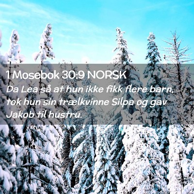Picture 02 - 1 Mosebok 30:9 NORSK - Da Lea så at hun ikke fikk flere barn, tok hun - Bible Verse Picture