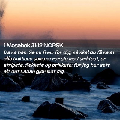 Picture 02 - 1 Mosebok 31:12 NORSK - Da sa han: Se nu frem for dig, så skal du få se - Bible Verse Picture
