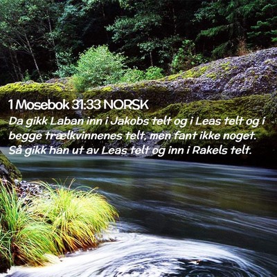 Picture 02 - 1 Mosebok 31:33 NORSK - Da gikk Laban inn i Jakobs telt og i Leas telt og - Bible Verse Picture