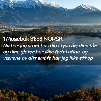 Picture 02 - 1 Mosebok 31:38 NORSK - Nu har jeg vært hos dig i tyve år; dine får og - Bible Verse Picture